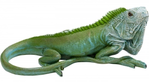 Статуэтка Lizard 35X19X14 CM