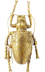 Украшение настенное Longicorn beetle 15X7X27 CM