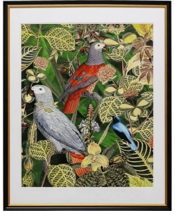 Постер в рамке Birds in Jungle 80X100 CM