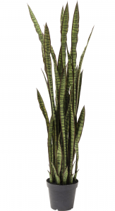 Искусственное растение Sansewieria 35X35X155 CM