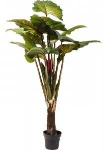 Искусственное тропическое растение Rainforest 50X50X160 CM