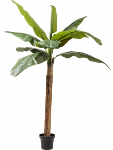 Искусственное травянистое растение Banana 40X40X190 CM