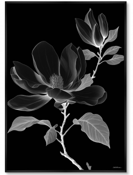 Набор из двух постеров на холсте Night bloom 75X105 / 75X105 CM