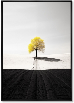 Постер на холсте Trees 75X105 CM