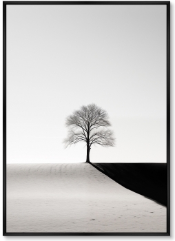 Постер на холсте Trees 75X105 CM