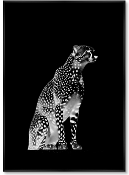Набор из двух постеров на холсте Cheetahs 75X105 / 75X105 CM