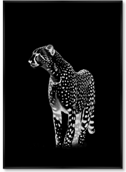Постер на холсте Cheetahs 75X105 CM