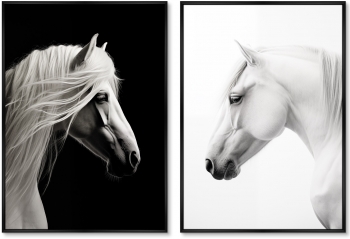 Набор из двух постеров на холсте Grace of the horses 75X105 / 75X105 CM