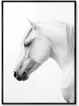 Набор из двух постеров на холсте Grace of the horses 75X105 / 75X105 CM