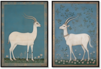Набор из двух постеров на холсте White goats 75X105 / 75X105 CM