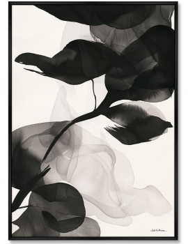 Постер на холсте Orchids 75X105 CM