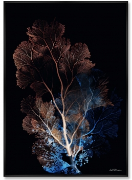 Композиция из двух репродукций картин на холсте Coral Symphony in the Color of Night 75X105 / 75X105 CM