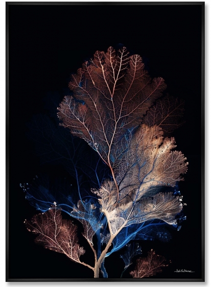 Композиция из двух репродукций картин на холсте Coral Symphony in the Color of Night 75X105 / 75X105 CM 3