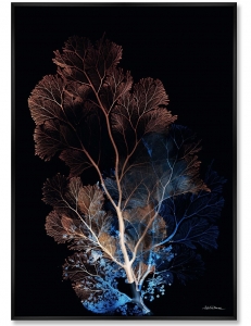 Репродукция картины на холсте Coral Symphony in the Color of Night 75X105 CM