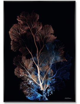 Репродукция картины на холсте  Coral Symphony in the Color of Night 75X105 CM