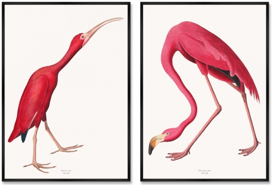 Композиция из двух репродукций картин на холсте Pink Birds 75X105 / 75X105 CM 1