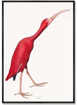 Композиция из двух репродукций картин на холсте Pink Birds 75X105 / 75X105 CM