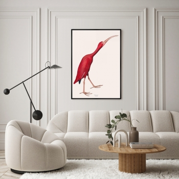 Репродукция картины на холсте Pink Birds Ibis 75X105 CM