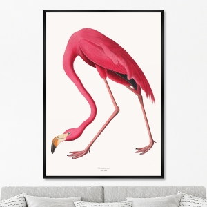 Репродукция картины на холсте Розовые птицы, No 2, Фламинго, 1822г.