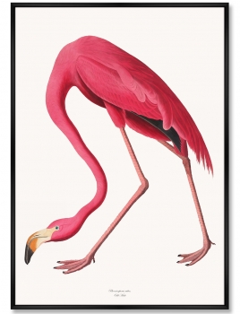 Репродукция картины на холсте Pink Birds Flamingo 75X105 CM