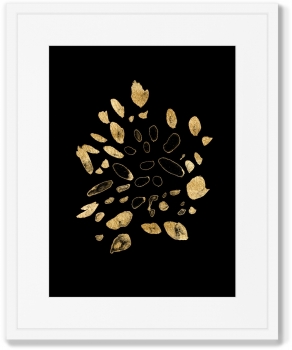 Постеры Flowers in the night 42X52 / 42X52 CM