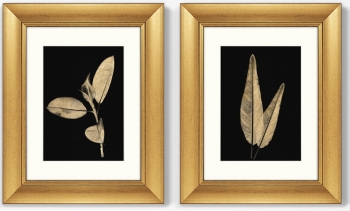 Диптих Golden leaves 41X51 / 41X51 CM