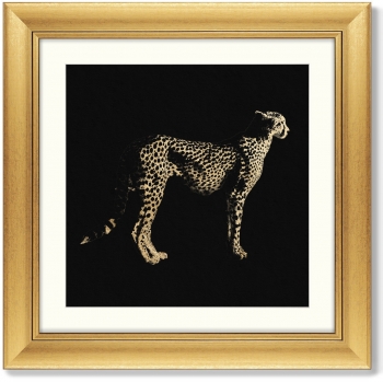 Набор двух постеров The Golden Cats 61X61 / 61X61 CM