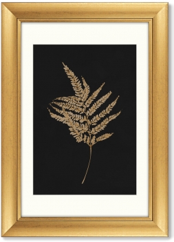Триптих Flower herbarium No1 51X71 / 51X71 / 51X71 CM