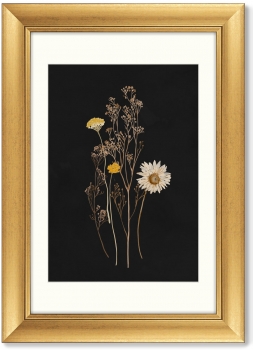 Триптих Flower herbarium No1 51X71 / 51X71 / 51X71 CM