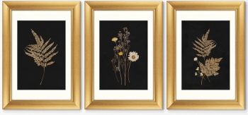 Триптих Flower herbarium No1 51X71 / 51X71 / 51X71 CM