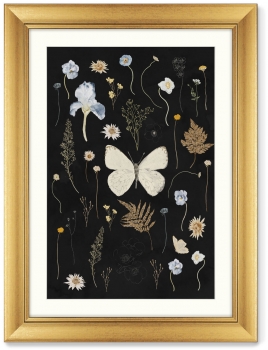 Диптих Flower herbarium No2 61X81 / 61X81 CM