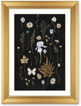 Диптих Flower herbarium No2 61X81 / 61X81 CM