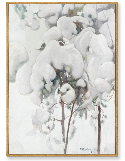 Постер на холсте Snow-Covered Pine Saplings 75X105 CM 1