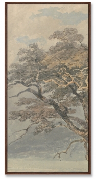 Триптих A Great Tree 52X105 / 52X105 / 52X105 CM