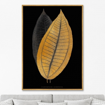 Постер на холсте Calophyllum inophyllum leaf 75X105 CM