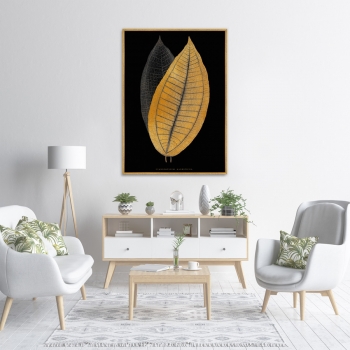 Постер на холсте Calophyllum inophyllum leaf 75X105 CM