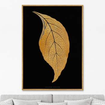 Постер на холсте Green Adelaster Albivenis 75X105 CM