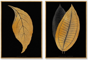 Постеры на холсте Two leaves 75X105 / 75X105 CM