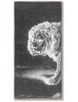 Репродукци из 3-х частей Lion 52X105 / 52X105 / 52X105 CM
