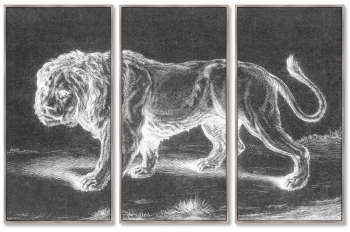 Репродукци из 3-х частей Lion 52X105 / 52X105 / 52X105 CM
