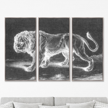 Репродукци из 3-х частей Lion 52X105 / 52X105 / 52X105 CM