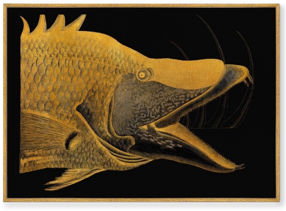 Репродукция картины на холсте Great Hog-Fish 105X75 CM 1