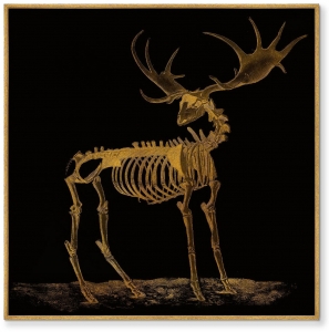 Постер на холсте The Deer bone structures 105X105 CM