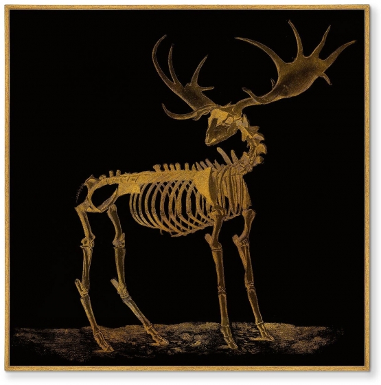 Постер на холсте The Deer bone structures 105X105 CM 1