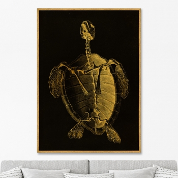 Постер на холсте Turtle Skeleton 75X105 CM