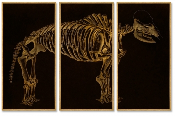 Триптих на холстеMamoth 52X105 / 52X105 / 52X105 CM