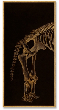 Триптих на холстеMamoth 52X105 / 52X105 / 52X105 CM