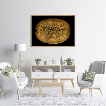 Постер на холсте Leaf of a gigantic Water lily in a gold 105X75 CM