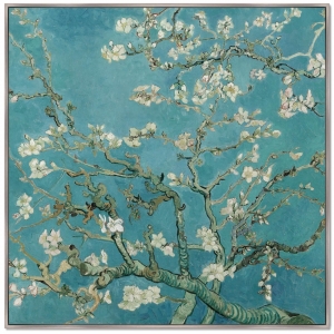 Постер Flowering branches of almonds 105X105 CM