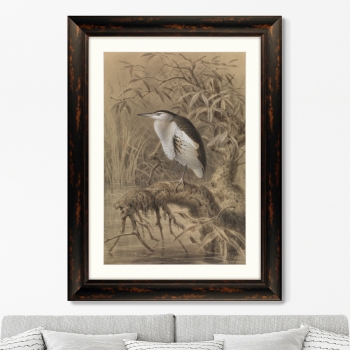 Постер Bird by the lake 61X81 CM